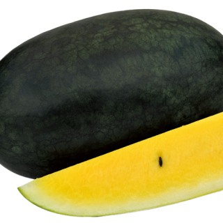 Eclipse SF-5656(2)700